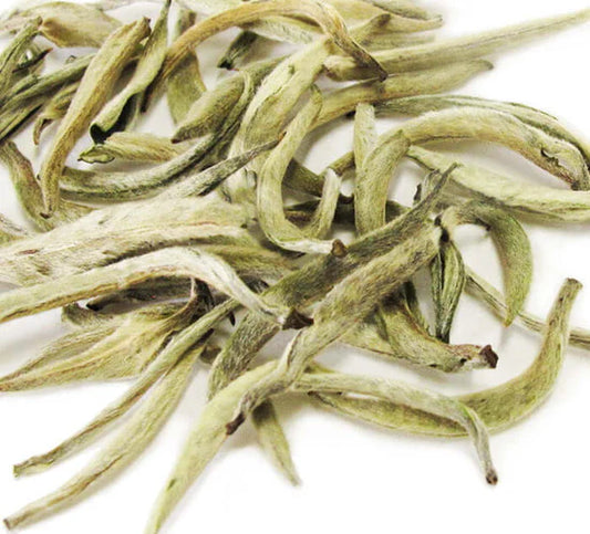 White Tea (Organic)